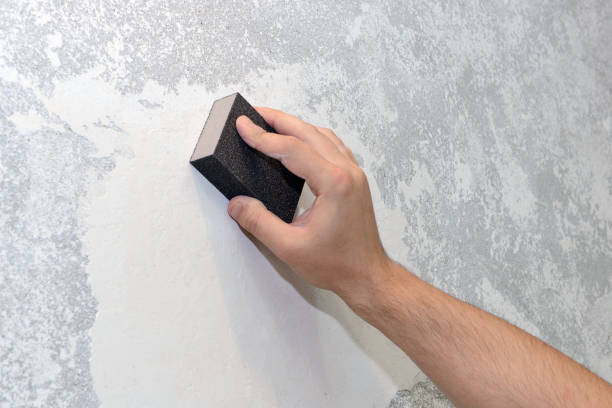 Best Real Estate Mold Inspection  in Alma, GA