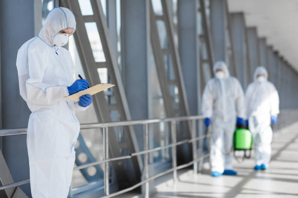 Best Mold Documentation for Insurance Claims  in Alma, GA