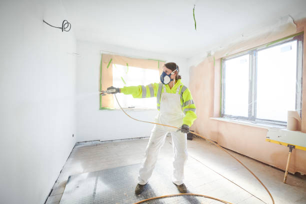 Best Mold Damage Restoration  in Alma, GA