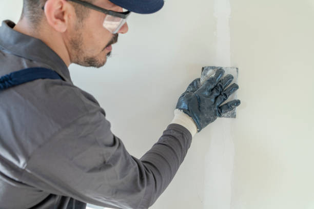 Best Basement Mold Removal  in Alma, GA