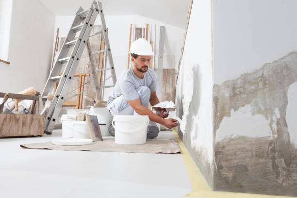 Best Residential Mold Inspection & Testing  in Alma, GA