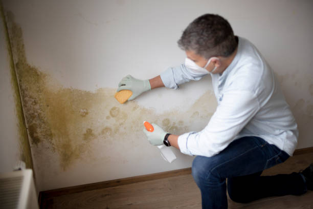 Best Air Quality Testing for Mold Spores  in Alma, GA