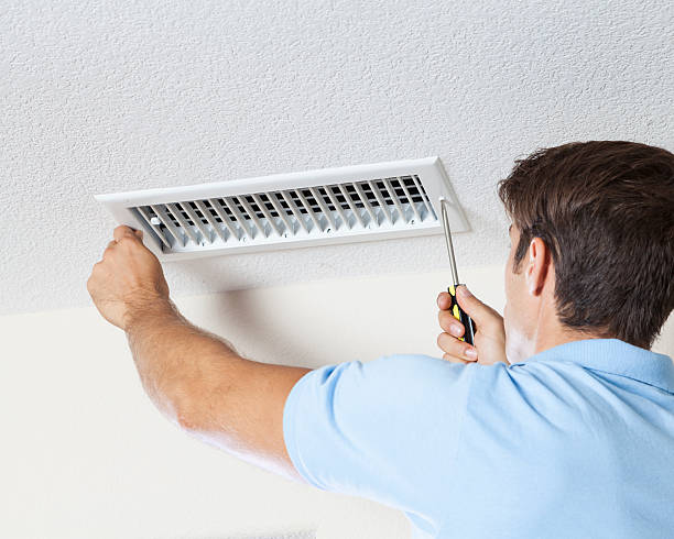 Professional Mold Removal in Alma, GA