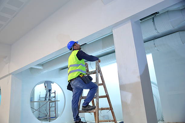 Best Mold Remediation for Healthcare Facilities  in Alma, GA